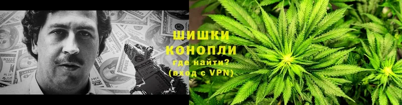 купить наркотик  Ржев  МАРИХУАНА Ganja 